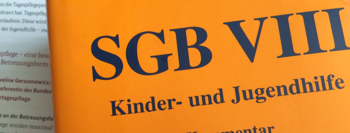 sgbVIII.jpg